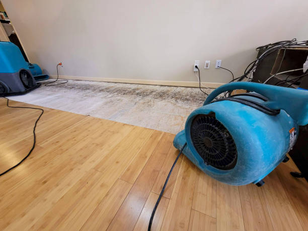 Professional Water Removal technician working in Saint Charles, MN